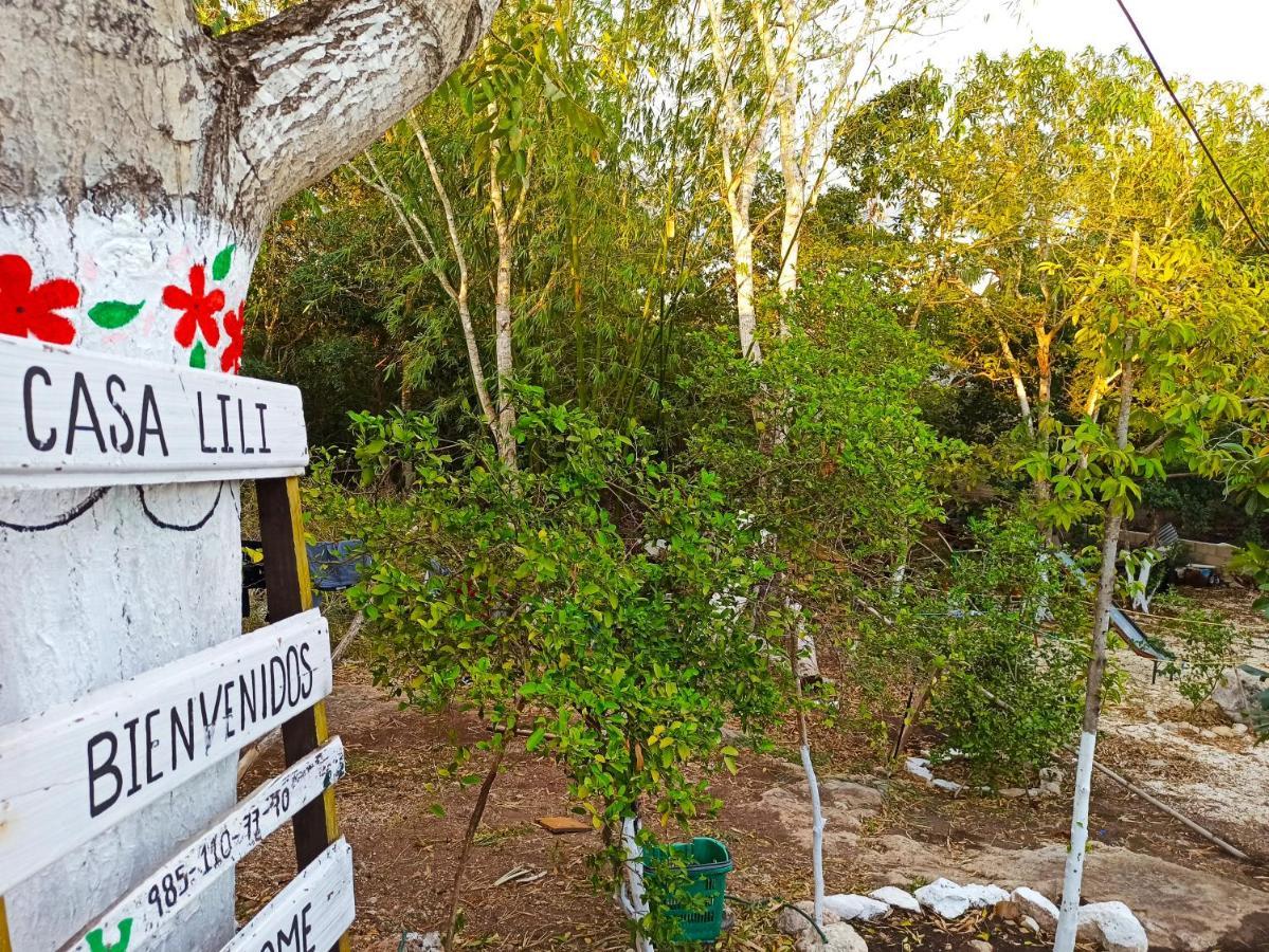 Casa Lili Luxury Valladolid "Fast Wifi, Hot Water, Kitchen & Tv" المظهر الخارجي الصورة