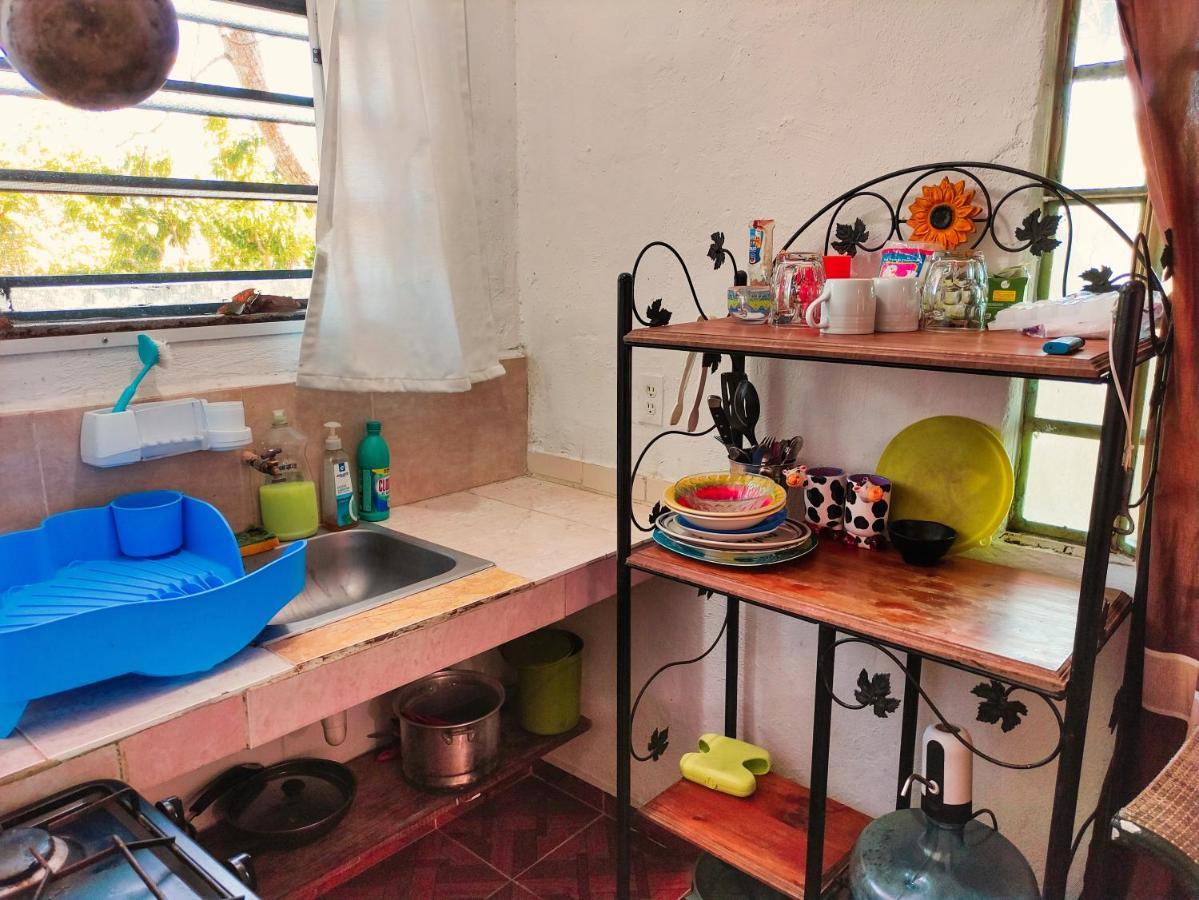 Casa Lili Luxury Valladolid "Fast Wifi, Hot Water, Kitchen & Tv" المظهر الخارجي الصورة
